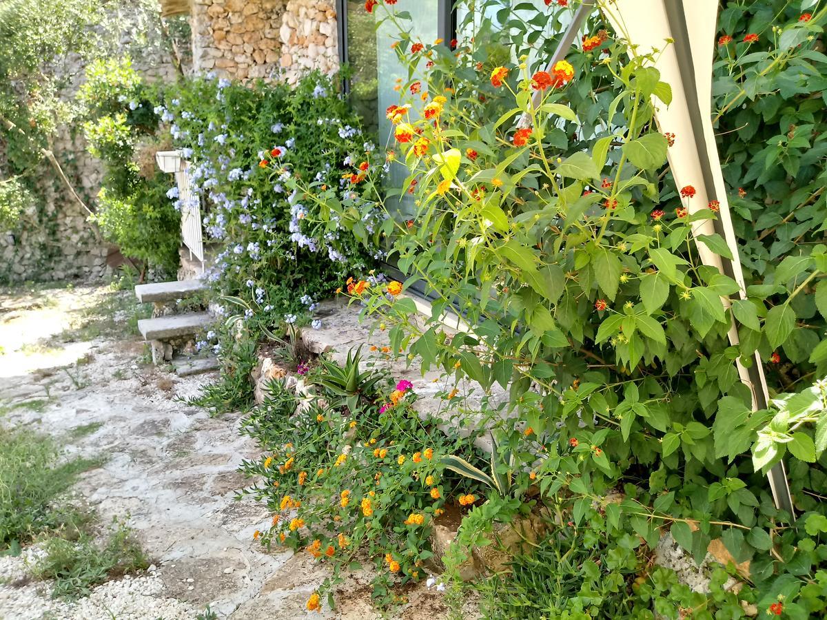 Вилла Limonaia In Salento Мариттима Экстерьер фото